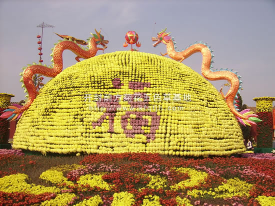 開封前方園藝——菊花造型現(xiàn)貨供應(yīng)